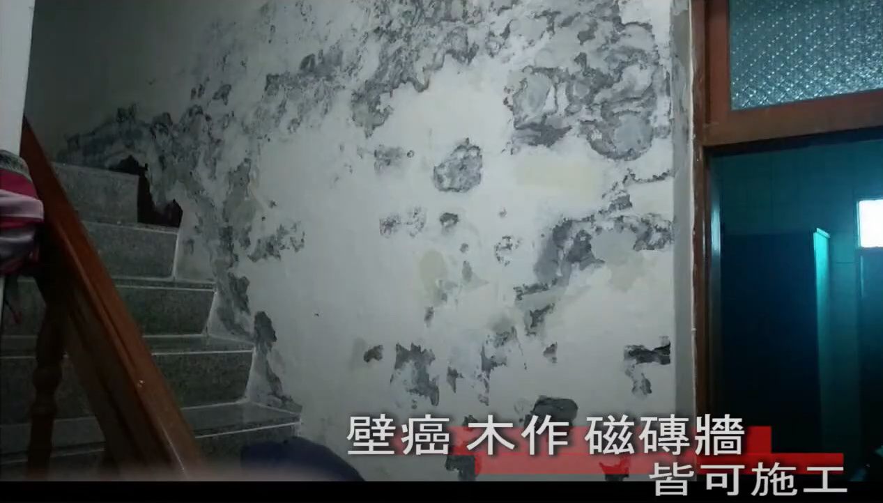 五步驟打造抗潮防霉牆面