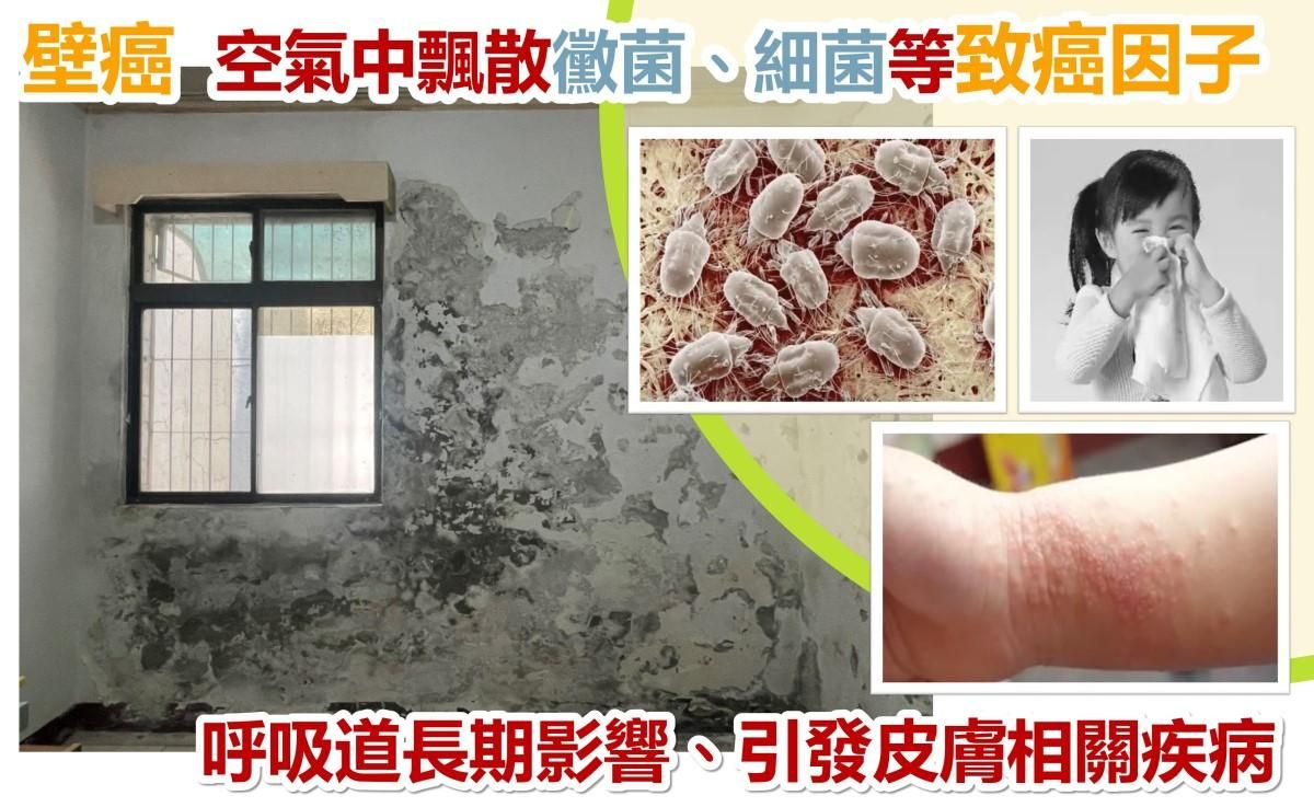 何謂壁癌？發現壁癌處理方式