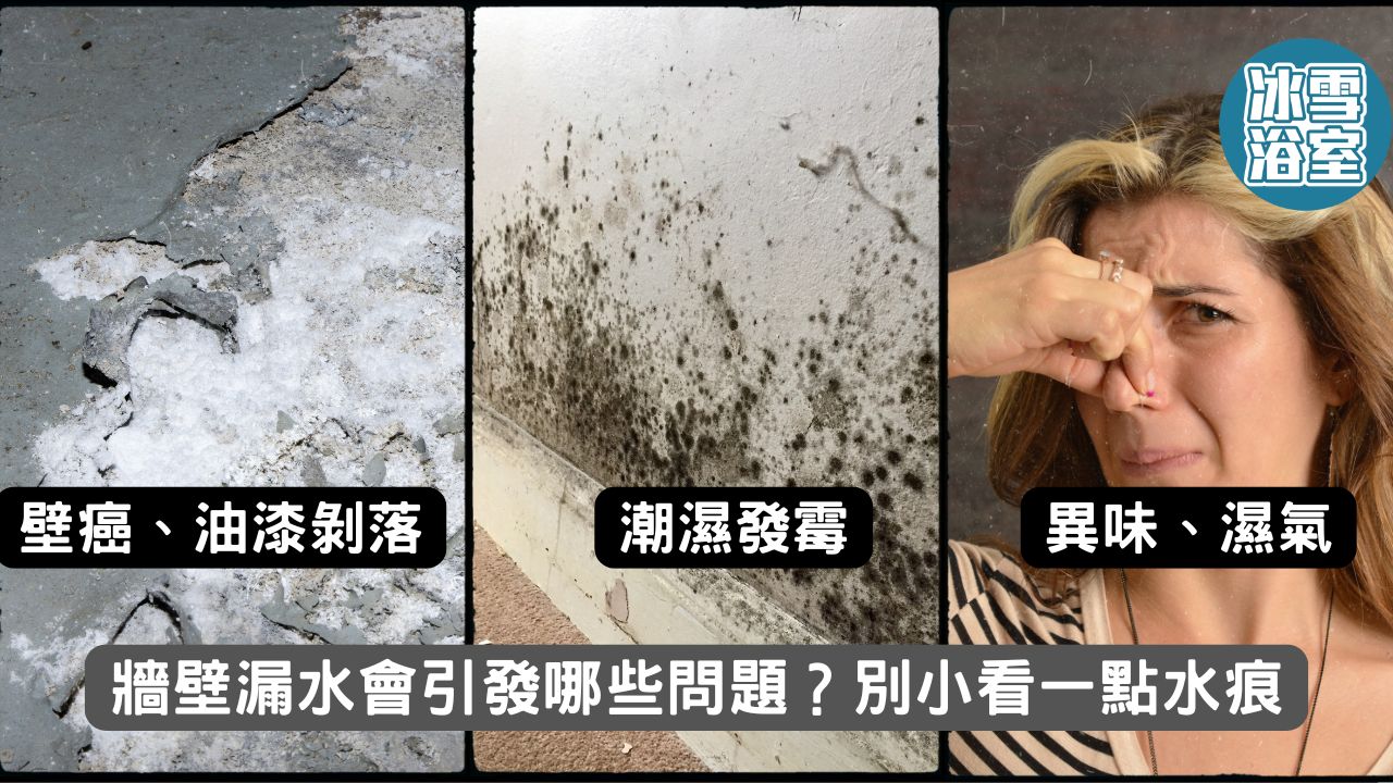 牆壁漏水會引發哪些問題？別小看一點水痕